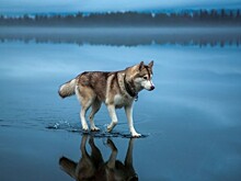 100 лучших фото без фотошопа