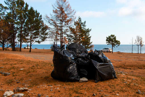 Календарь на 7 июня: церковные и светские праздники, памятные даты и дни рождения знаменитостей