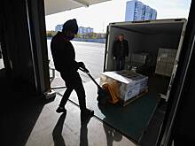 В России допустили возможность ограничения вывоза продуктов за рубеж