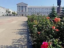 Кто из курян получит налоговые льготы?