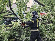 Два человека погибли и шесть пострадали после урагана в Петербурге
