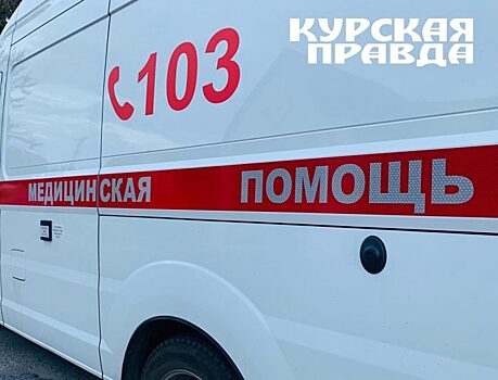 В Курской области в ДТП с пассажирской газелью погибли 4 человека