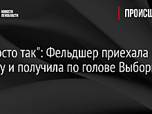 "А просто так": Фельдшер приехала по вызову и получила по голове Выборге