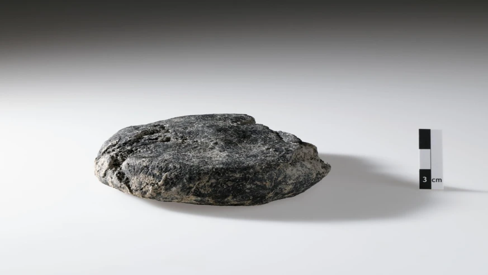 В Швейцарии нашли 2000-летний римский хлеб