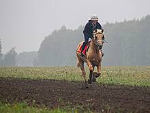 Россияне показали трюки на лошадях