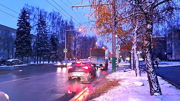 В Пензенской области за 10 месяцев в ДТП погибли 28 пешеходов