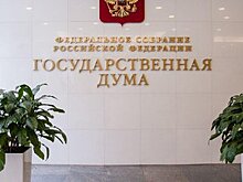 В Госдуме предлагают бороться с криминальной субкультурой в сети пропагандой ценностей