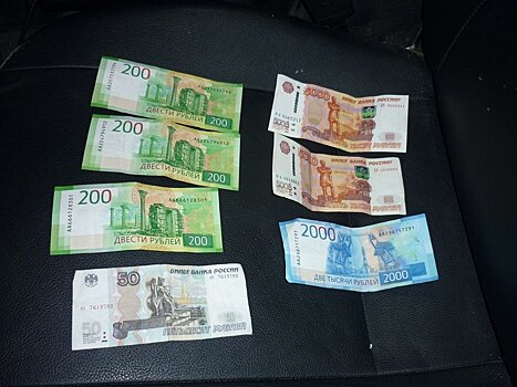 Охотникам Кировской области выплатили около 3 миллионов рублей за добытых волков