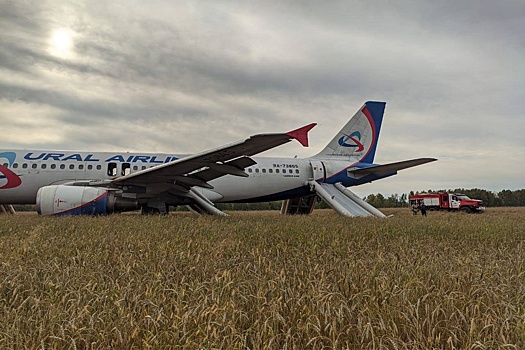 В Новосибирске возбудили дело после посадки самолета с пассажирами в поле