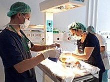 Врачи зеленоградской больницы спасли маму и новорожденную малышку
