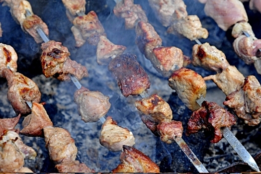 Как безопасно установить мангал на дачном участке, напомнили волгоградцам