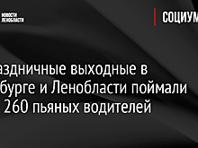 За праздничные выходные в Петербурге и Ленобласти поймали более 260 пьяных водителей