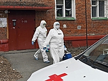 Путин оценил борьбу с коронавирусом в России