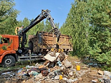 Более 48 тысяч кубометров несанкционированных свалок ликвидируют в Дзержинске