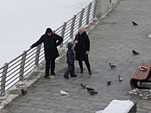 Амфитеатр у воды и каток: какой будет новая набережная на ВИЗе в Екатеринбурге