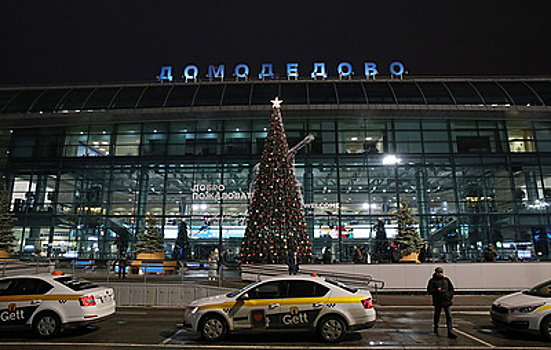 ТАСС: экс-совладельцы Домодедова взяли большие кредиты и не погасили их