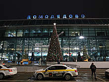 ТАСС: экс-совладельцы Домодедова взяли большие кредиты и не погасили их