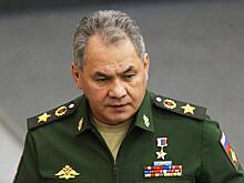 Раскрыты результаты теста Шойгу на коронавирус