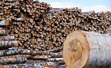 Жестокие чухонские будни: Наломали дров - теперь леса не хватает