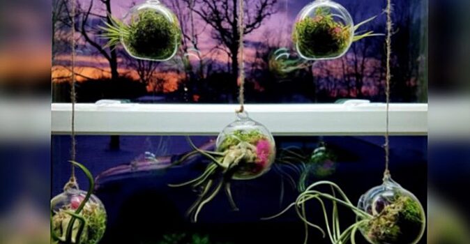 Что именно изображено на фото понять сразу способны немногие, ведь больше всего это напоминает кадры из фантастического фильма