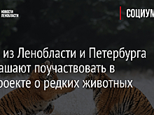 Детей из Ленобласти и Петербурга приглашают поучаствовать в эко-проекте о редких животных