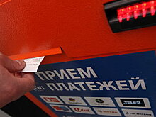 Как система быстрых платежей коронавирус обыграла