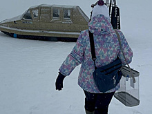 Омбудсмен Сапко не нашел нарушений на выборах президента в Пермском крае