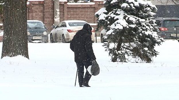 Пензенцам сообщили о вторжении воздушных масс из Арктики