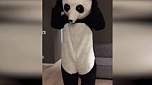 Чернокожий игрок «Ювентуса» решил бороться с расизмом в костюме панды