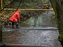 В Калининграде нашли больше 50 незаконных стоков в канал, впадающий в Верхнее озеро