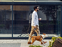 Ученые объяснили, почему все больше людей заводят собак