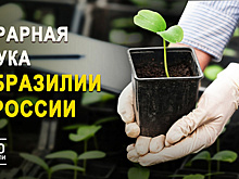 Агропараллели. Выпуск 7. Аграрная наука