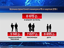 Прожиточный минимум в Башкирии в I квартале составил 8615 рублей