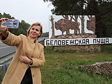 Чем привлекала гостей Беловежская пуща в високосном году