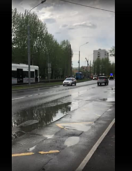 На Живописной убрали с путей упавшее дерево