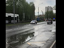 На Живописной убрали с путей упавшее дерево