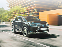 Обновленный Lexus NX - самовыражение как искусство