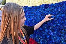 В Краснодаре из 20 тысяч роз трех цветов выложили флаг России