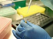 В Роспотребнадзоре назвали новую пандемию COVID-19 маловероятной