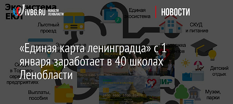 «Единая карта ленинградца» с 1 января заработает в 40 школах Ленобласти