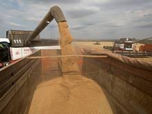 Россия удержала лидерство по экспорту одного товара