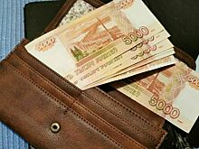 Минтруд разъяснил порядок выплаты зарплаты в компаниях, остановивших работу