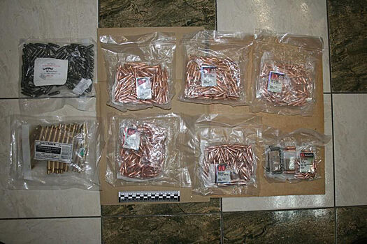 На российской границе задержали иностранца с боеприпасами