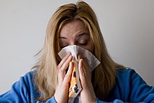В РФ планируют приступить к клиническим испытаниям вакцины от аллергии на пыльцу