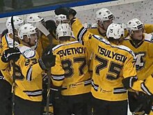 «Дизель» одержал волевую победу в матче с челябинским «Челметом»