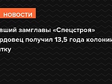 Бывший замглавы «Спецстроя» Мордовец получил 13,5 года колонии за взятку