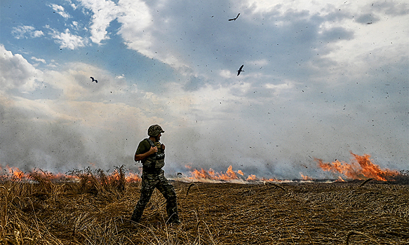 В ДНР назвали число потерь среди украинских военных