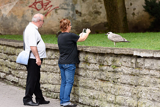 Старый Таллинн — магнит для туристов