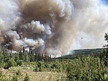 На западе Канады началась эвакуация населения из-за лесных пожаров