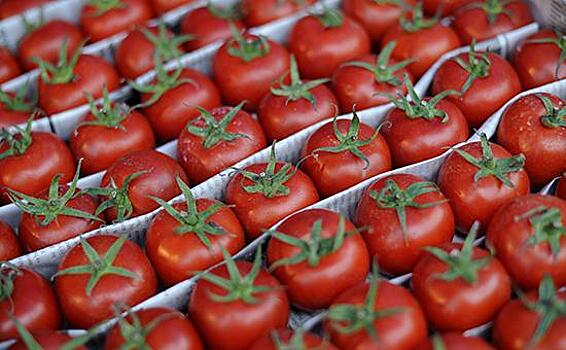 Турция возобновила поставку томатов в Россию